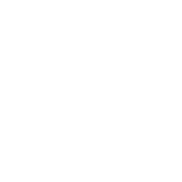 icon Réseau de Neurones page analyse de données