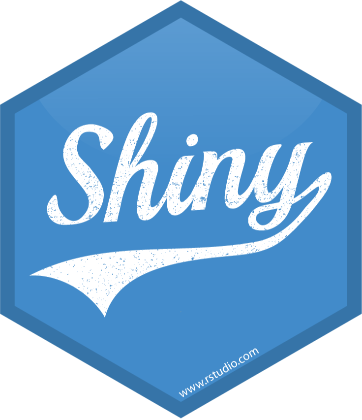 logo Shiny page applications web