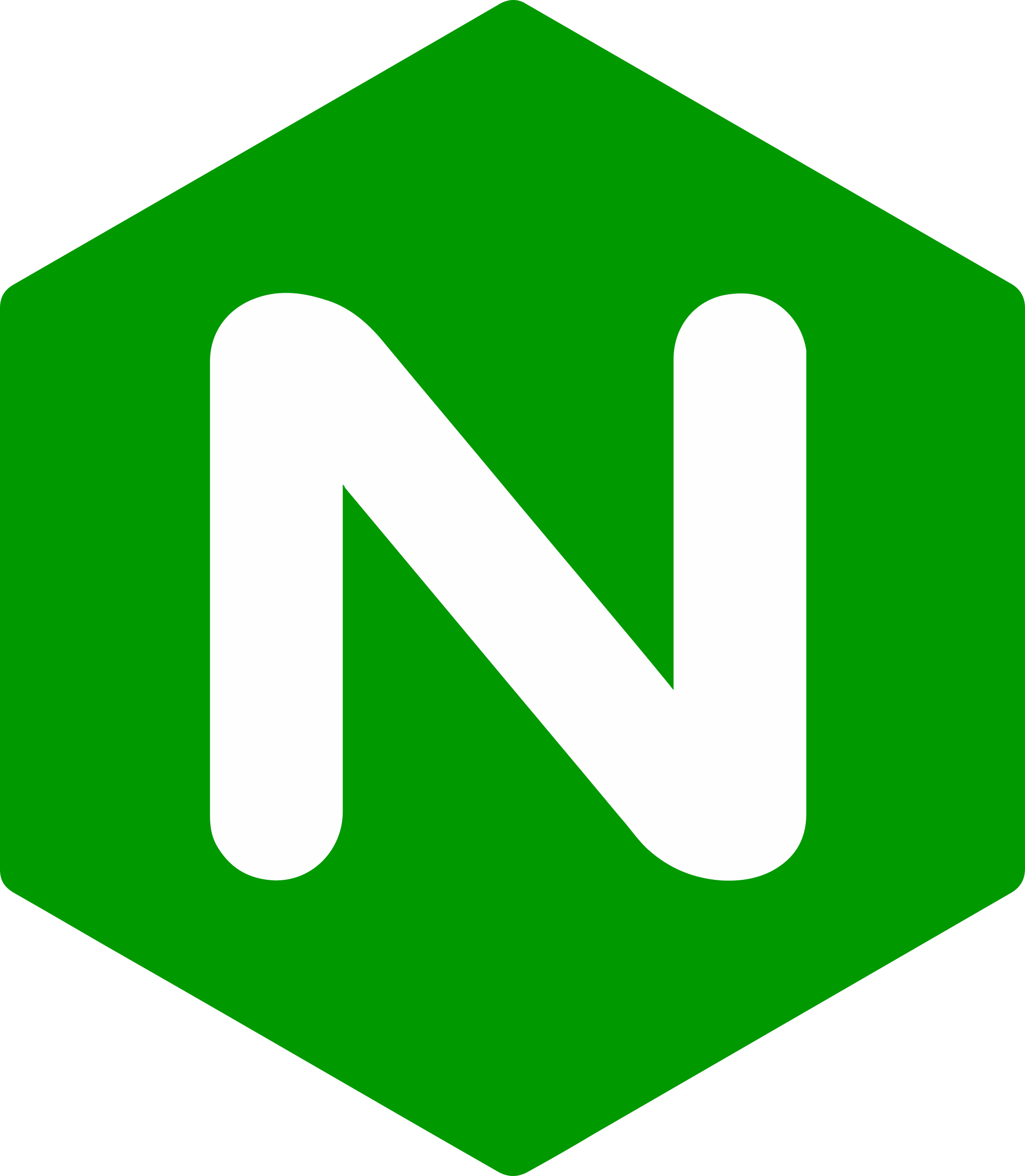 logo nginx serveur web