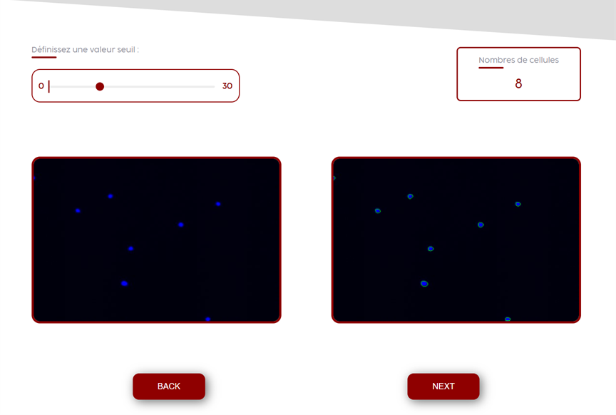 screen d'un exemple de l'application web pour comptais les pixels morts ou marqués